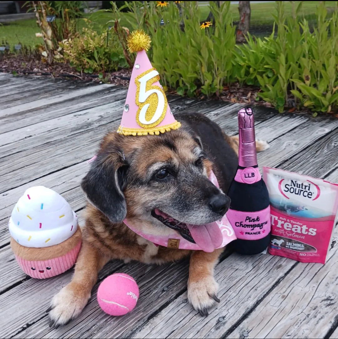 Dog Birthday Bandana & Hat