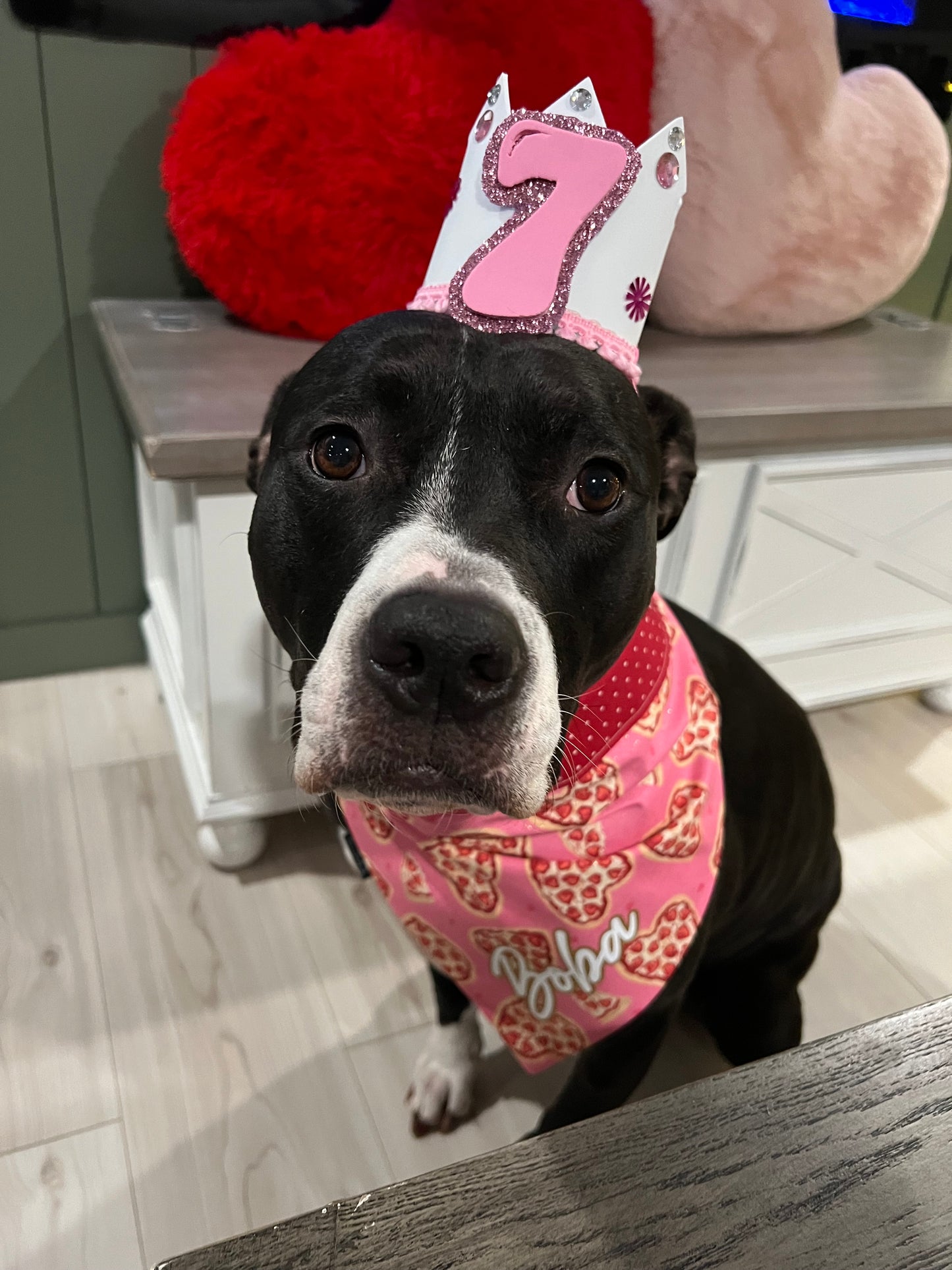 Dog Birthday Bandana & Crown