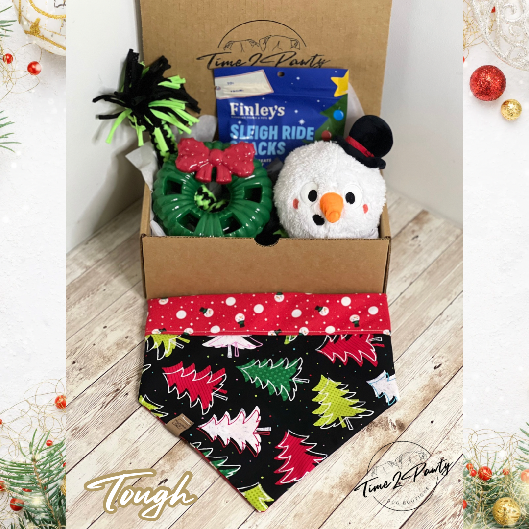 Christmas Dog Box - TOUGH Dog Toys