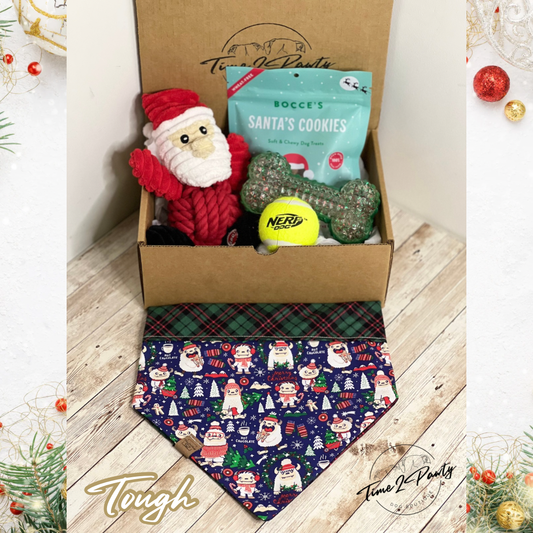 Christmas Dog Box - TOUGH Dog Toys