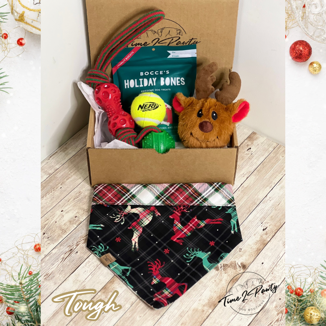 Christmas Dog Box - TOUGH Dog Toys